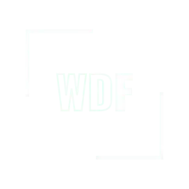 WDF — custom software, AI and web development